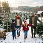 Gør turen efter juletræet til en tradition børnene husker